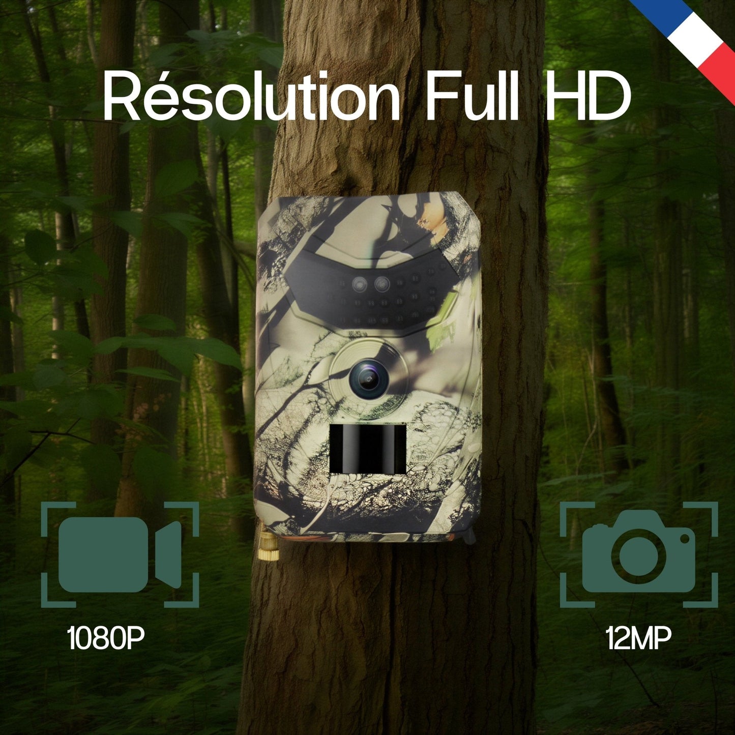 Full-HD Wildkamera – scharfe Bilder bei Tag & Nacht