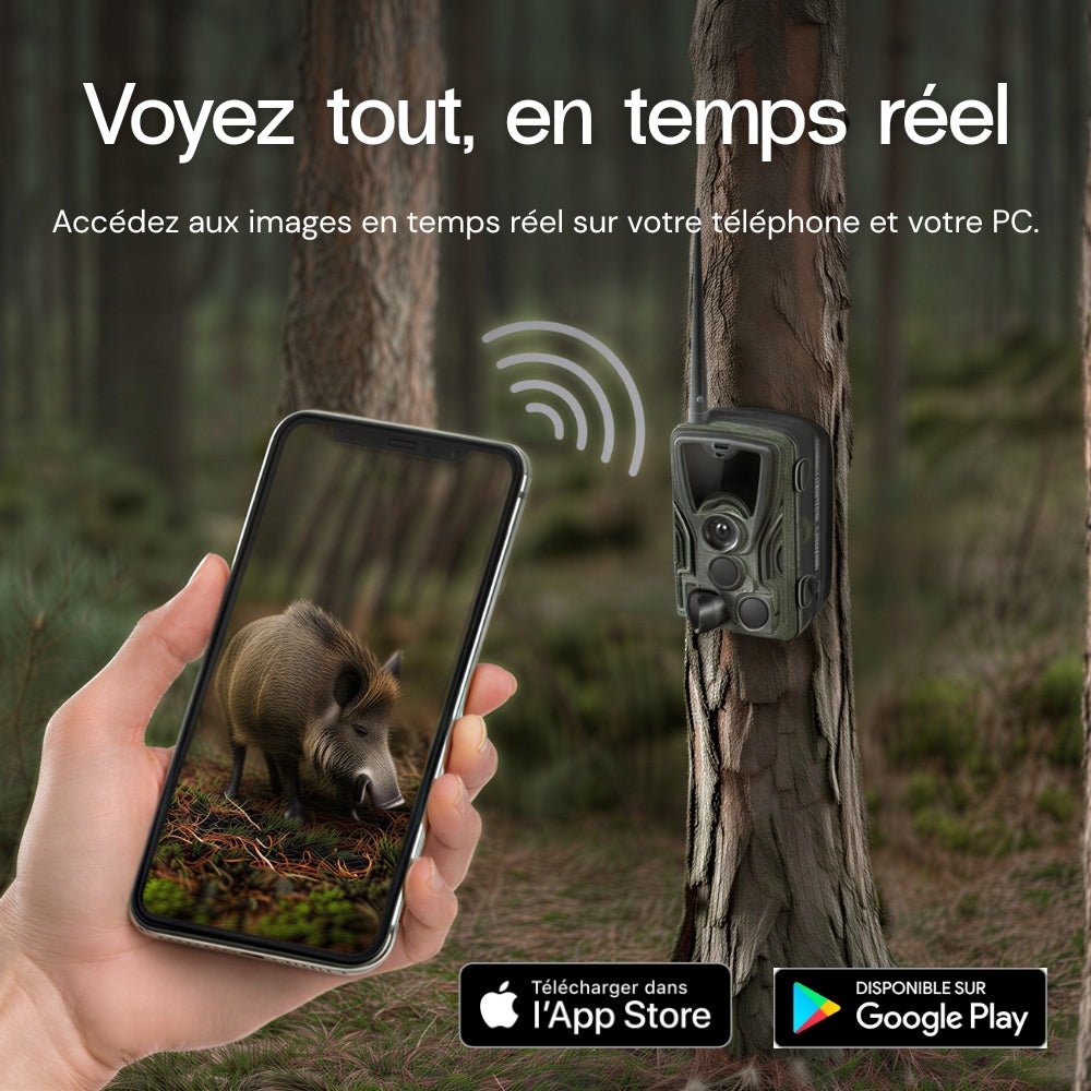 4K Wildkamera mit Bildschirm und 4G+ – ultrascharfe Bilder & Fernsteuerung