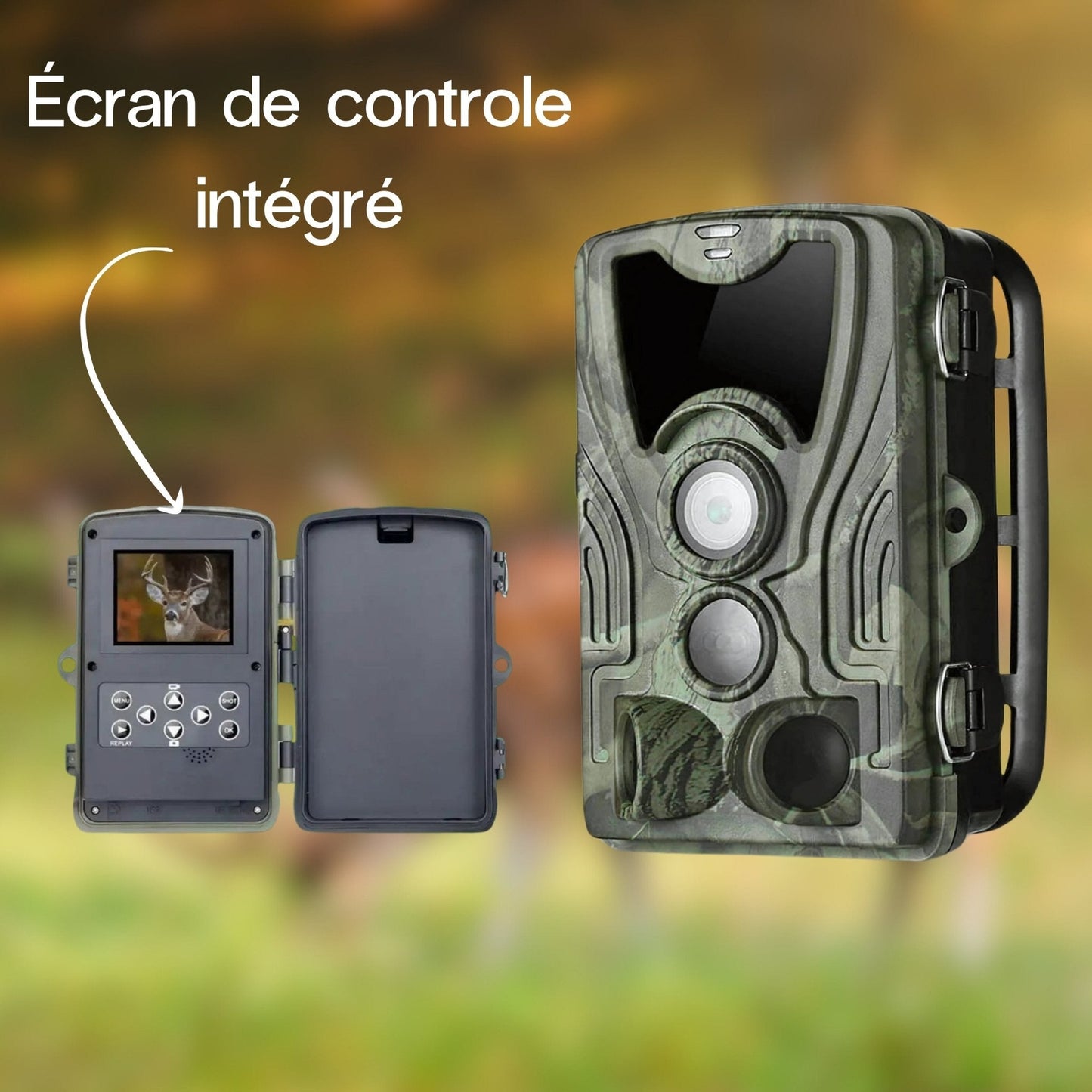 Full-HD Wildkamera mit Bildschirm – sofortige Bildanzeige