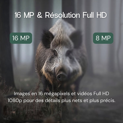 Full-HD Wildkamera mit Bildschirm – sofortige Bildanzeige