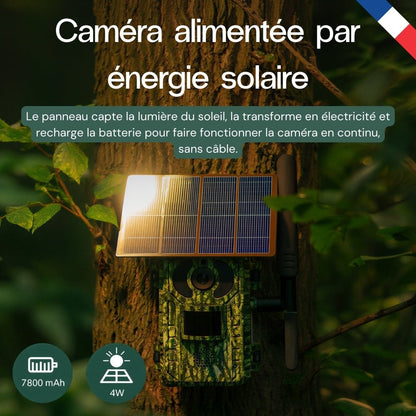 4G Wildkamera mit integriertem Solarpanel
