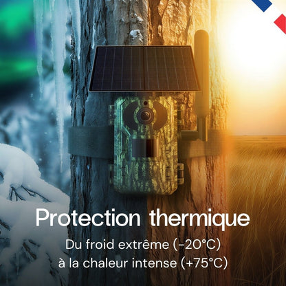4G Wildkamera mit integriertem Solarpanel
