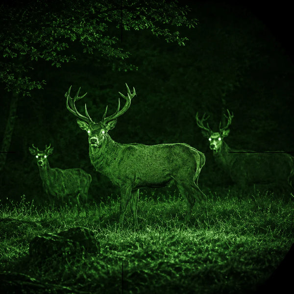 Vision nocturne intégrée