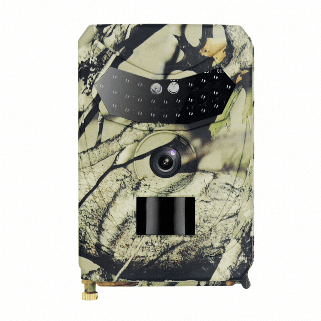 Full-HD Wildkamera – scharfe Bilder bei Tag & Nacht