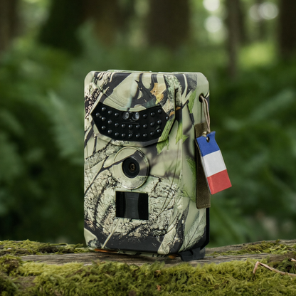 Full-HD Wildkamera – scharfe Bilder bei Tag & Nacht