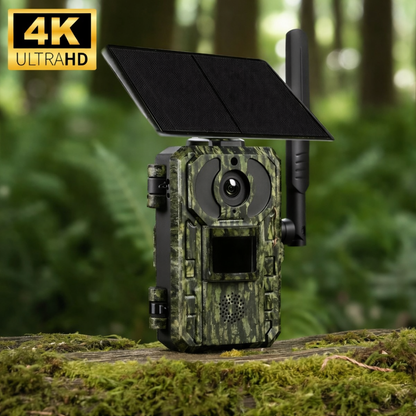 4G Wildkamera mit integriertem Solarpanel